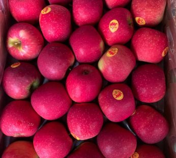 Red apple