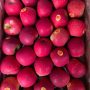Red apple