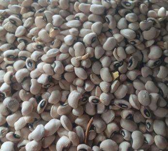 moimoi beans