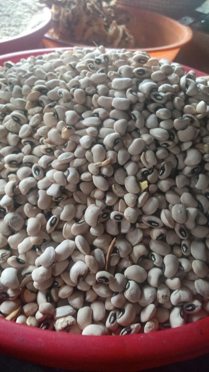 moimoi beans