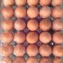 full create of eggs and create container