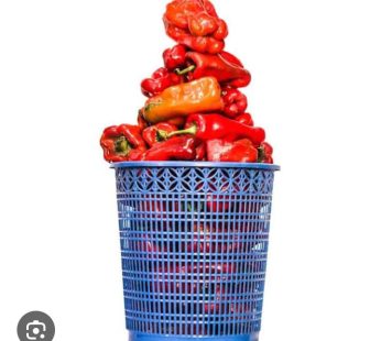 Half basket Tatashi