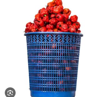 Half basket of rodo