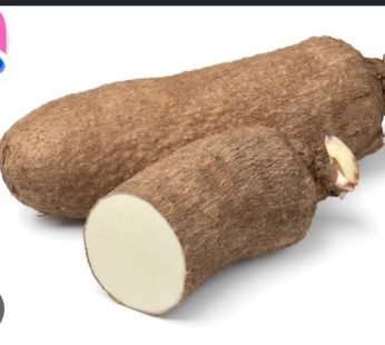 yam (small