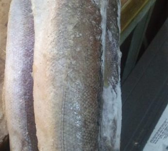 Hake  a kilos
