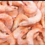 shrimps Frozen kilos