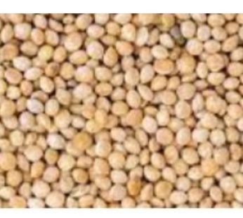 red millet