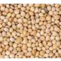 red millet