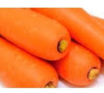 carrot