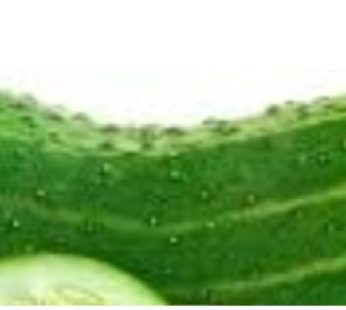 cucumber