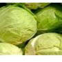 cabbage Big