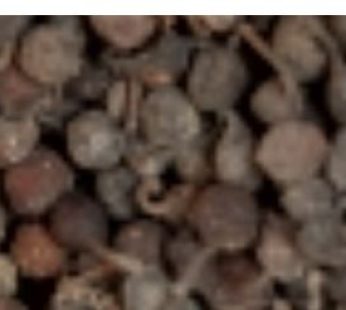 uziza seed