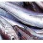 frozen panla  per kg