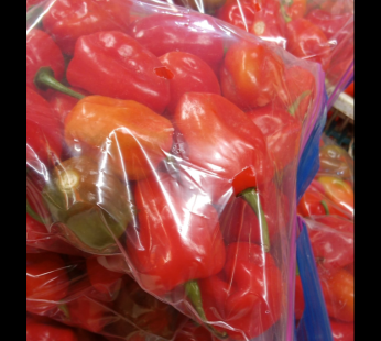 habanero pepper