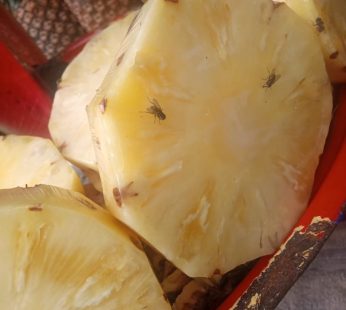pineapple cut