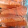 carrot small