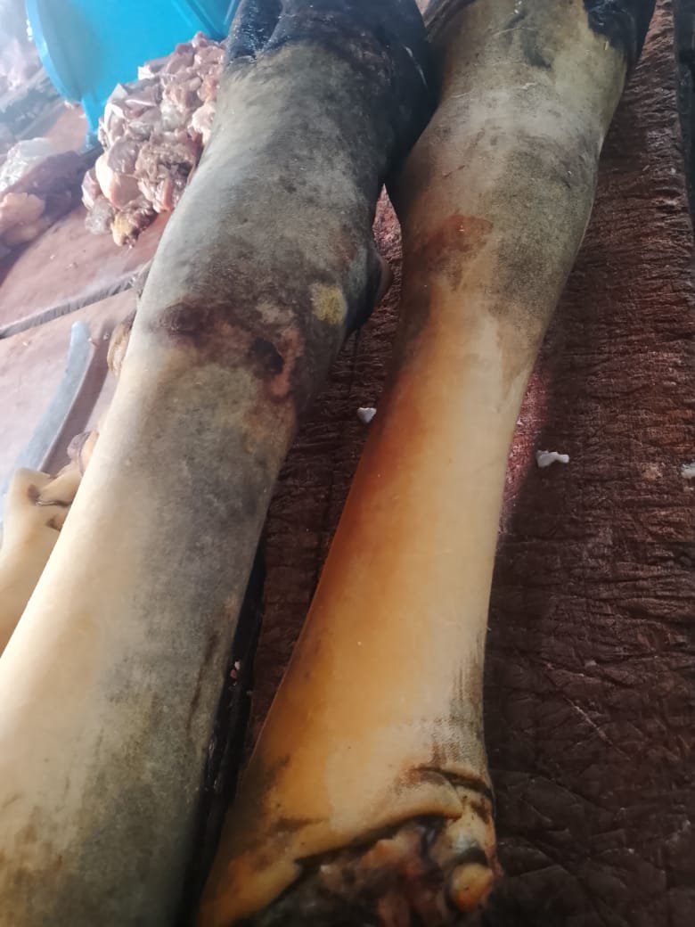 Cow Leg