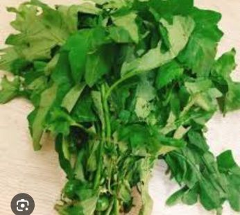 granden egg leaf