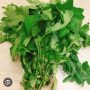 granden egg leaf