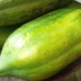 Fresh Pawpaw