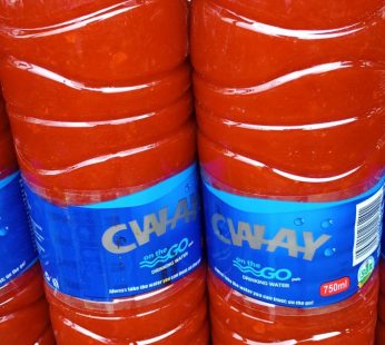 Palm oil one bottle