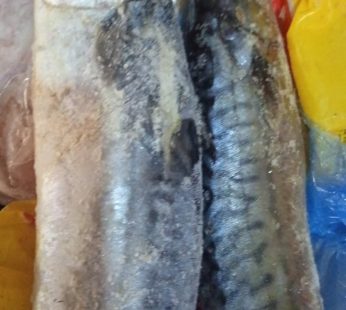 Original Titus fish half kilo